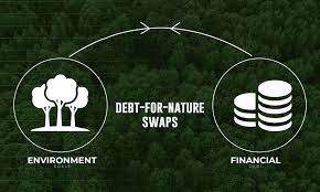 Los canjes de deuda por naturaleza aumentan la respuesta financiera climática y otras noticias sobre naturaleza y clima que debes leer esta semana